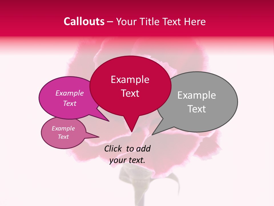 Plant Carnation Flora PowerPoint Template