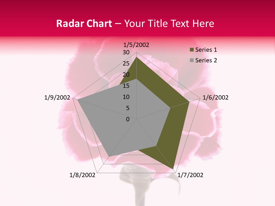 Plant Carnation Flora PowerPoint Template
