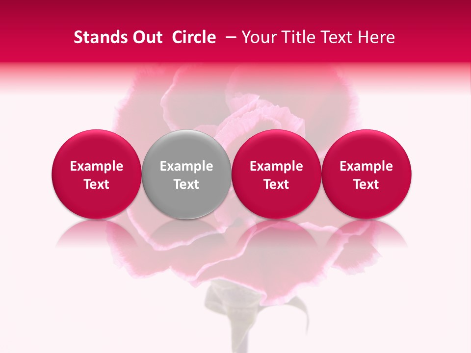 Plant Carnation Flora PowerPoint Template