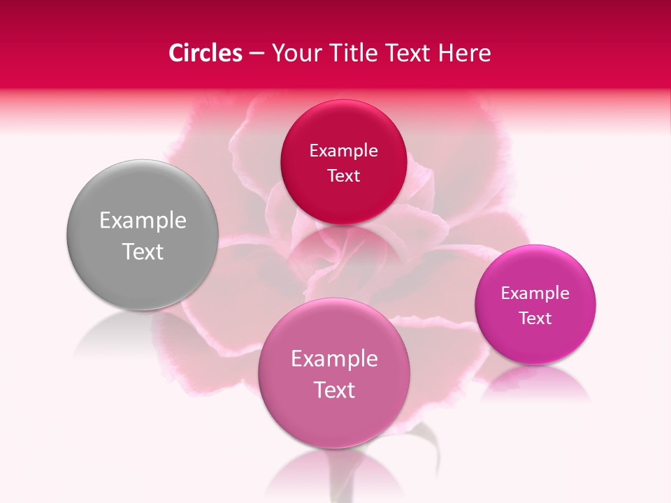 Plant Carnation Flora PowerPoint Template