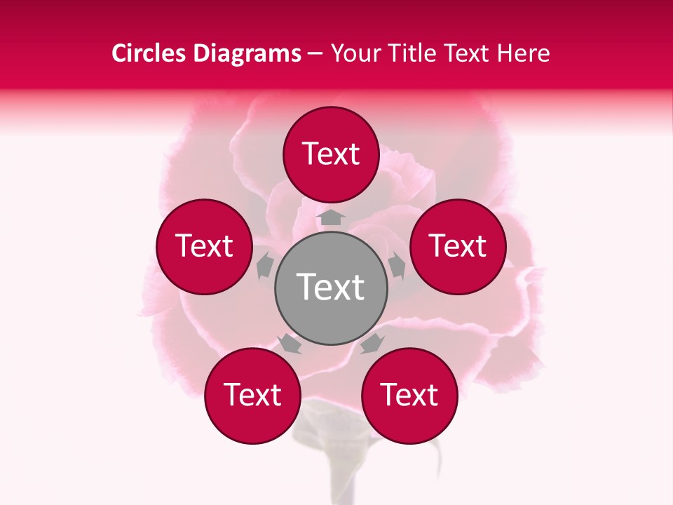 Plant Carnation Flora PowerPoint Template