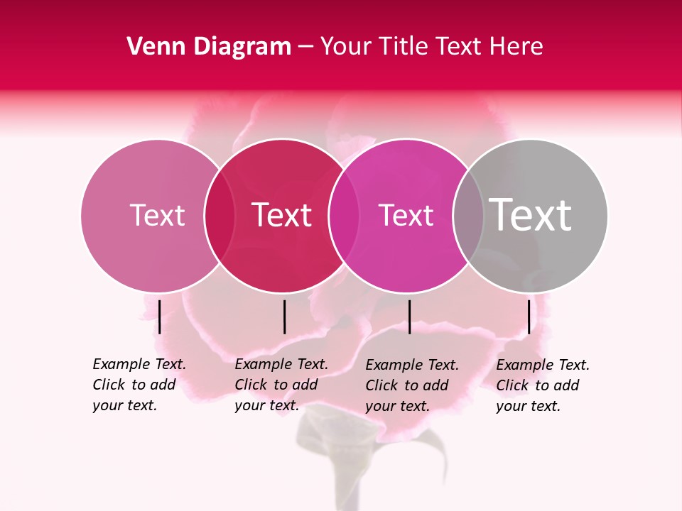 Plant Carnation Flora PowerPoint Template