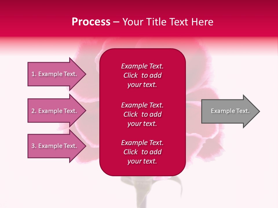 Plant Carnation Flora PowerPoint Template
