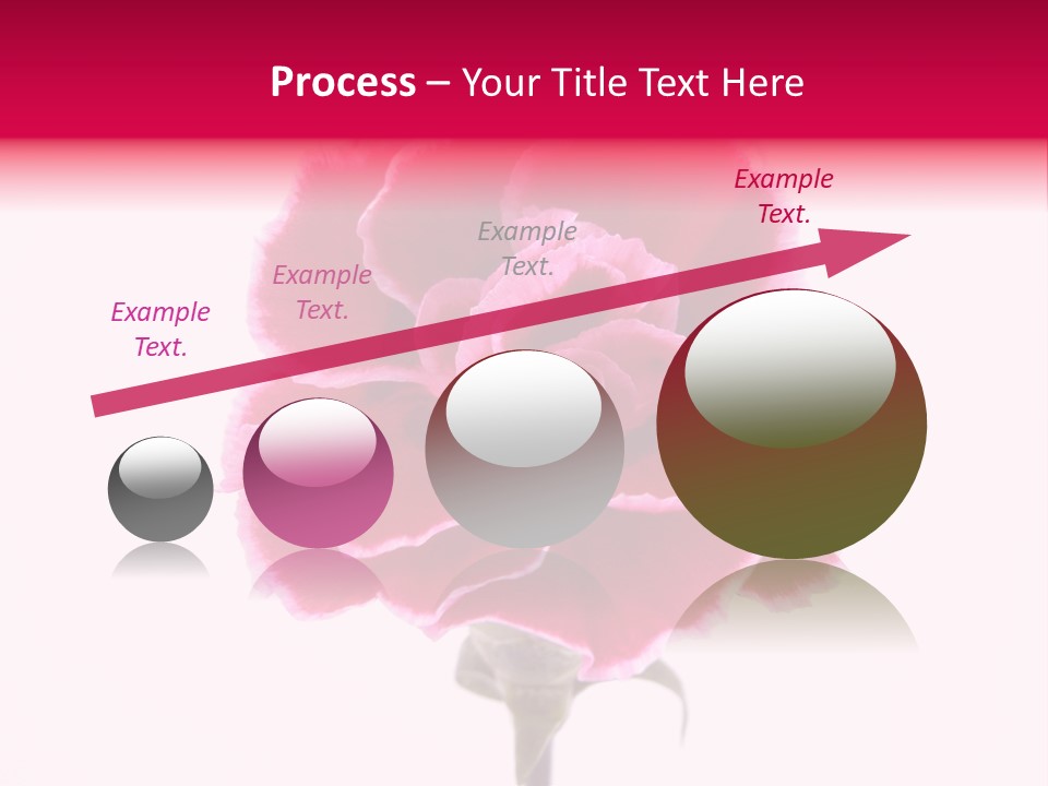 Plant Carnation Flora PowerPoint Template