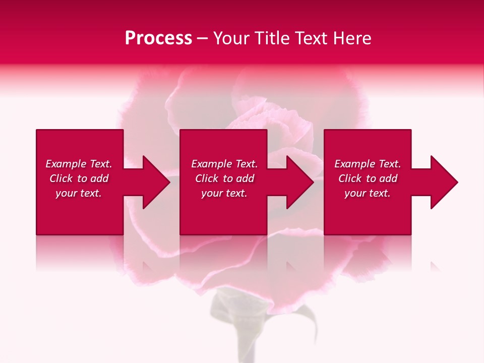 Plant Carnation Flora PowerPoint Template