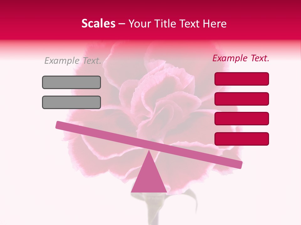 Plant Carnation Flora PowerPoint Template