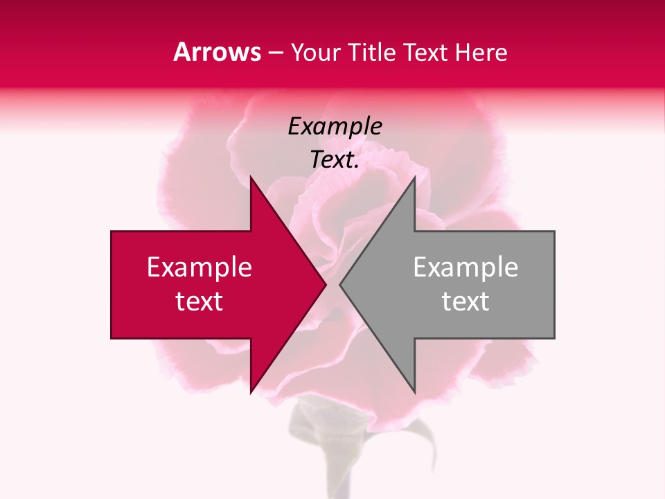 Plant Carnation Flora PowerPoint Template
