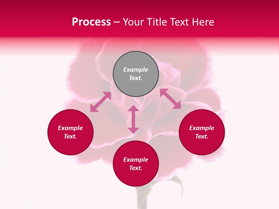 Plant Carnation Flora PowerPoint Template