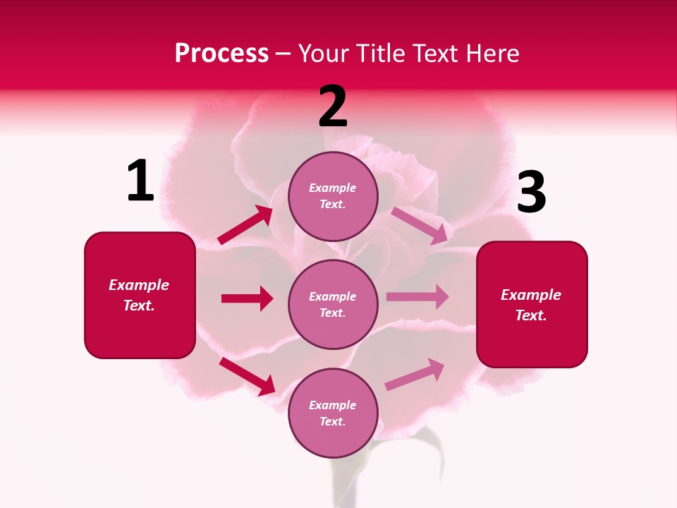 Plant Carnation Flora PowerPoint Template