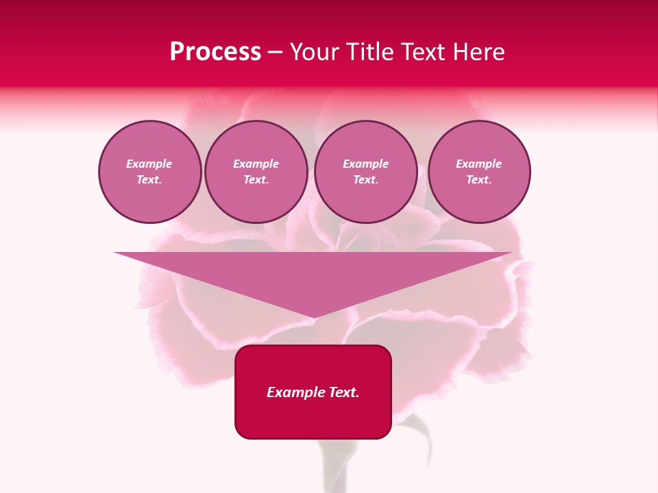 Plant Carnation Flora PowerPoint Template