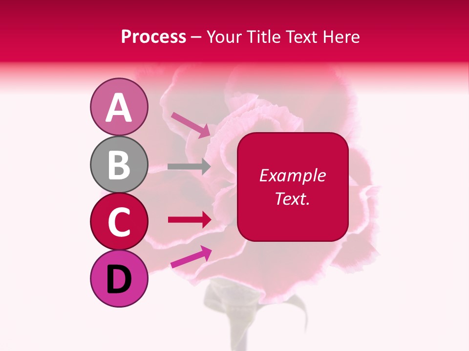 Plant Carnation Flora PowerPoint Template