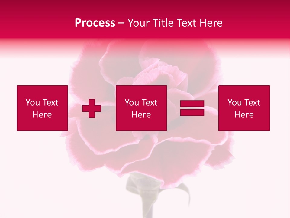 Plant Carnation Flora PowerPoint Template