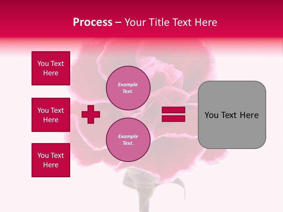Plant Carnation Flora PowerPoint Template