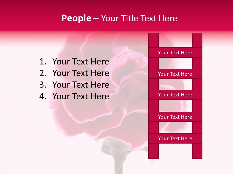 Plant Carnation Flora PowerPoint Template