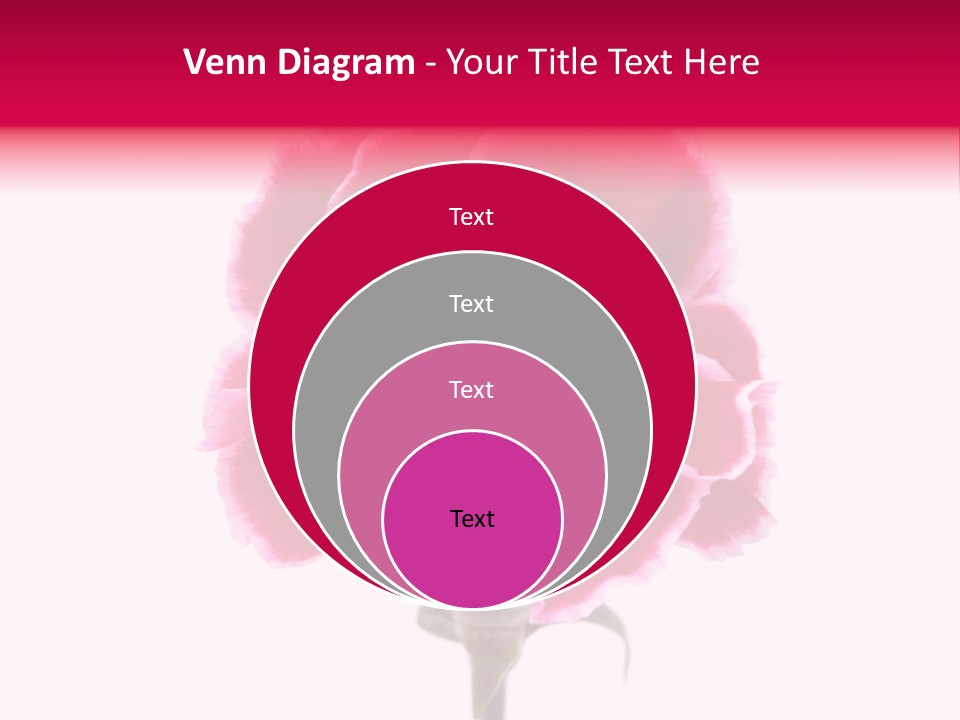 Plant Carnation Flora PowerPoint Template