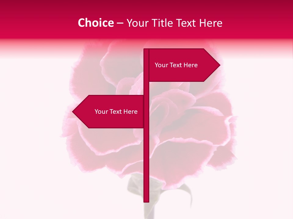Plant Carnation Flora PowerPoint Template