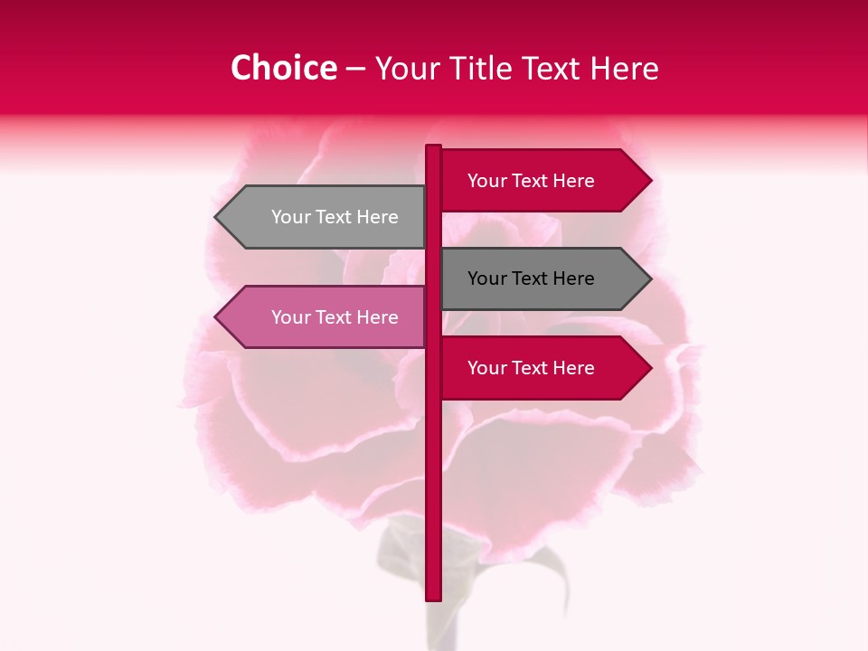Plant Carnation Flora PowerPoint Template