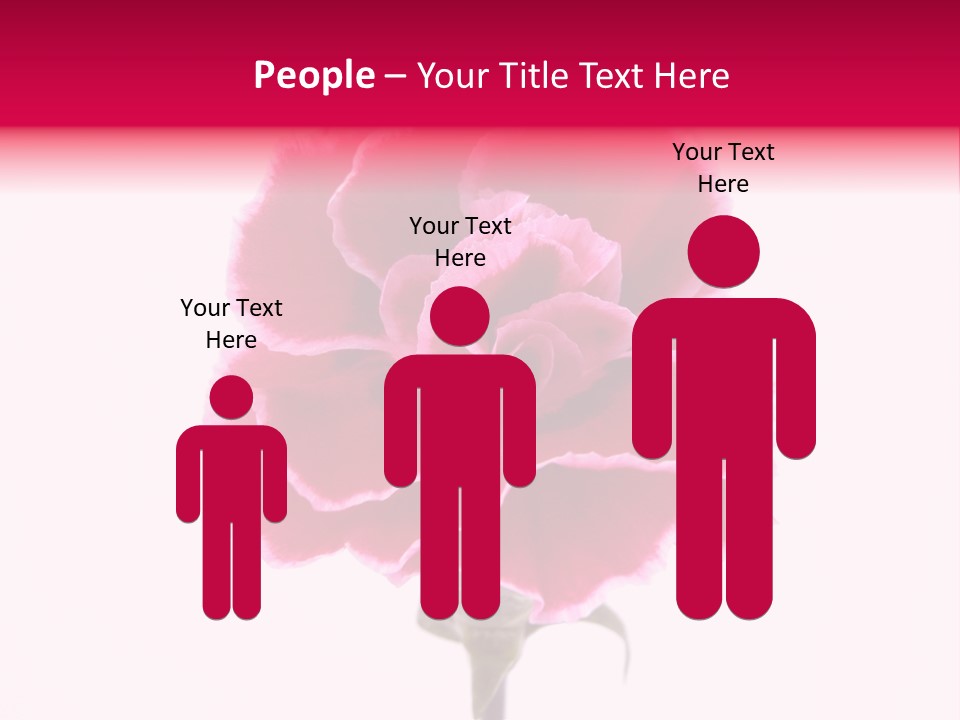 Plant Carnation Flora PowerPoint Template