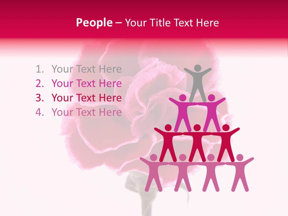 Plant Carnation Flora PowerPoint Template