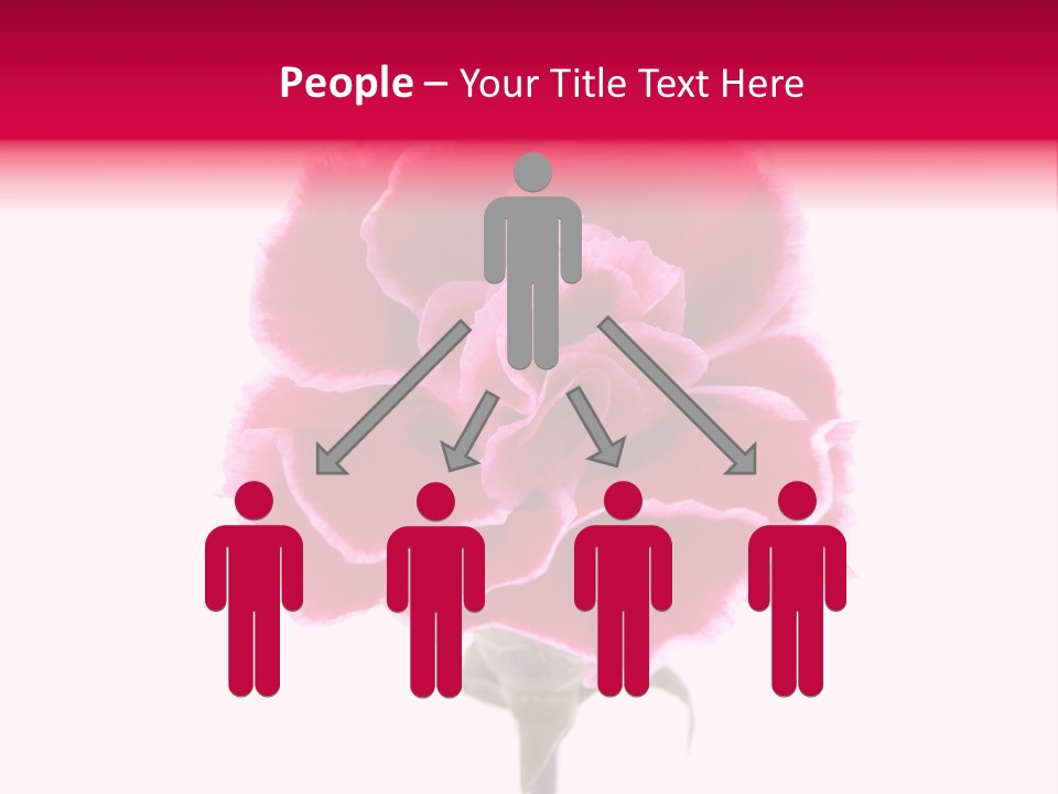 Plant Carnation Flora PowerPoint Template