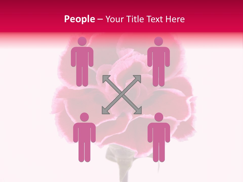 Plant Carnation Flora PowerPoint Template