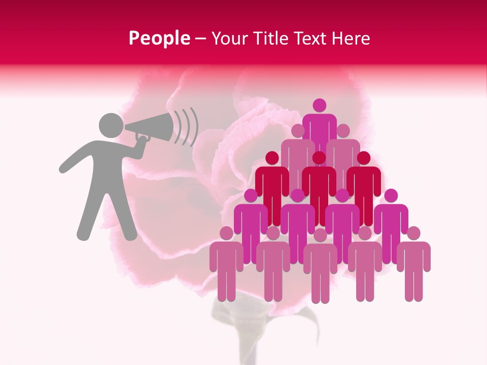 Plant Carnation Flora PowerPoint Template