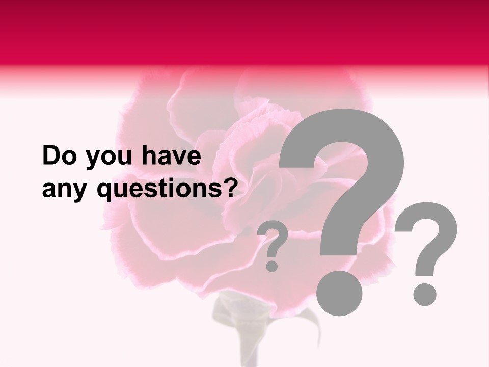 Plant Carnation Flora PowerPoint Template