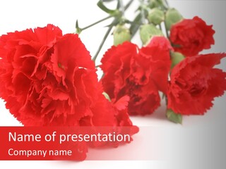 Scentscentedpetal Colorful Nature PowerPoint Template