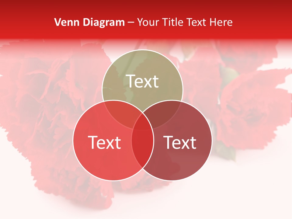 Scentscentedpetal Colorful Nature PowerPoint Template