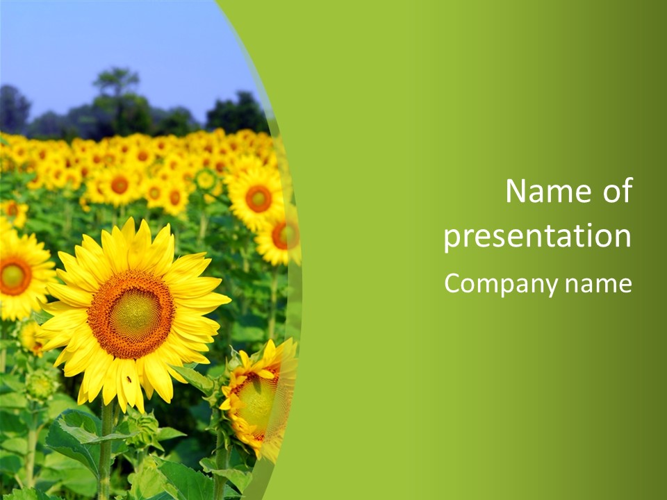 Growing Farming Sky PowerPoint Template