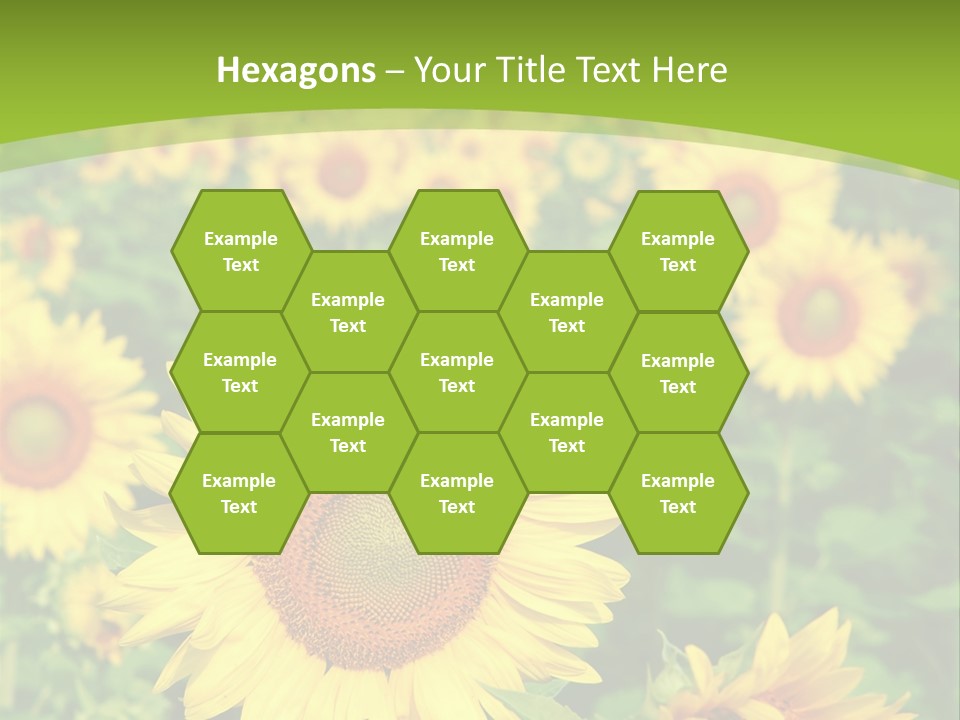 Growing Farming Sky PowerPoint Template