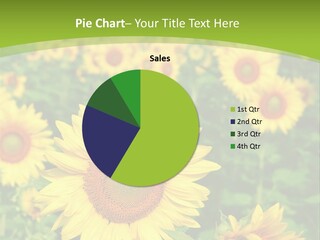 Growing Farming Sky PowerPoint Template