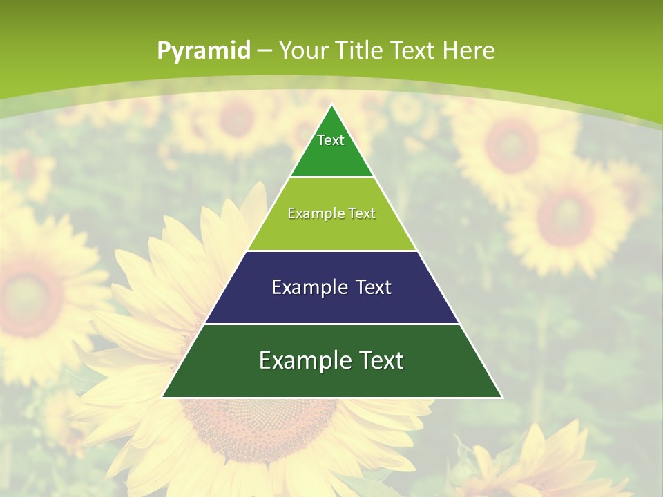 Growing Farming Sky PowerPoint Template