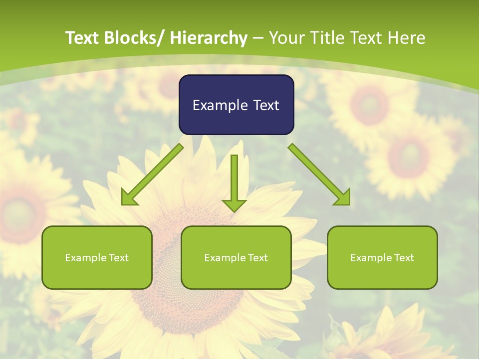 Growing Farming Sky PowerPoint Template