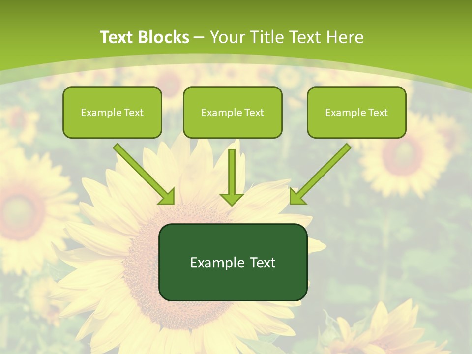 Growing Farming Sky PowerPoint Template