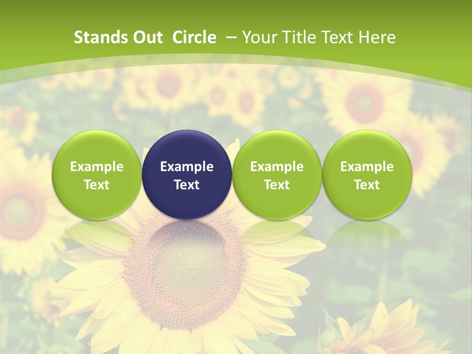 Growing Farming Sky PowerPoint Template