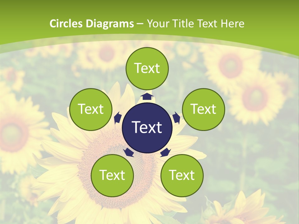 Growing Farming Sky PowerPoint Template