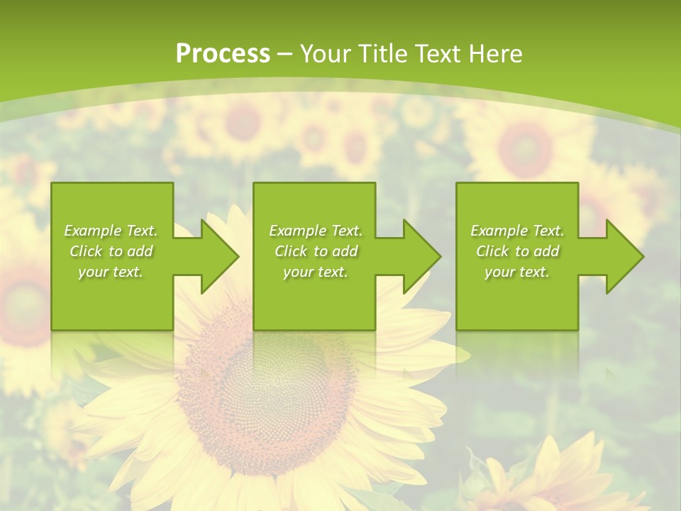 Growing Farming Sky PowerPoint Template