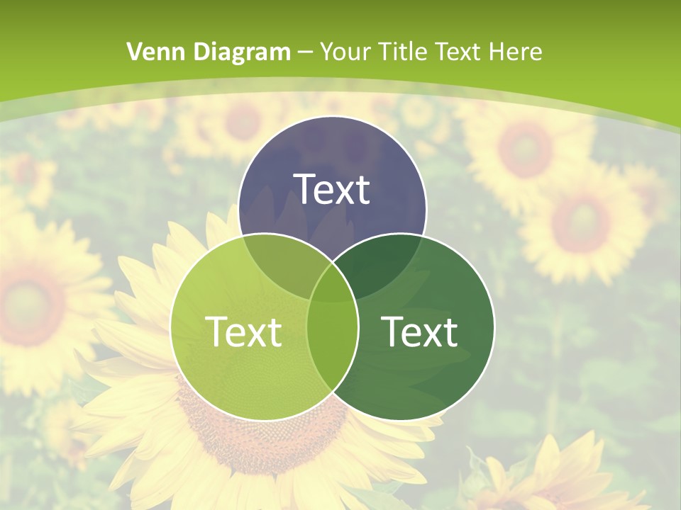 Growing Farming Sky PowerPoint Template