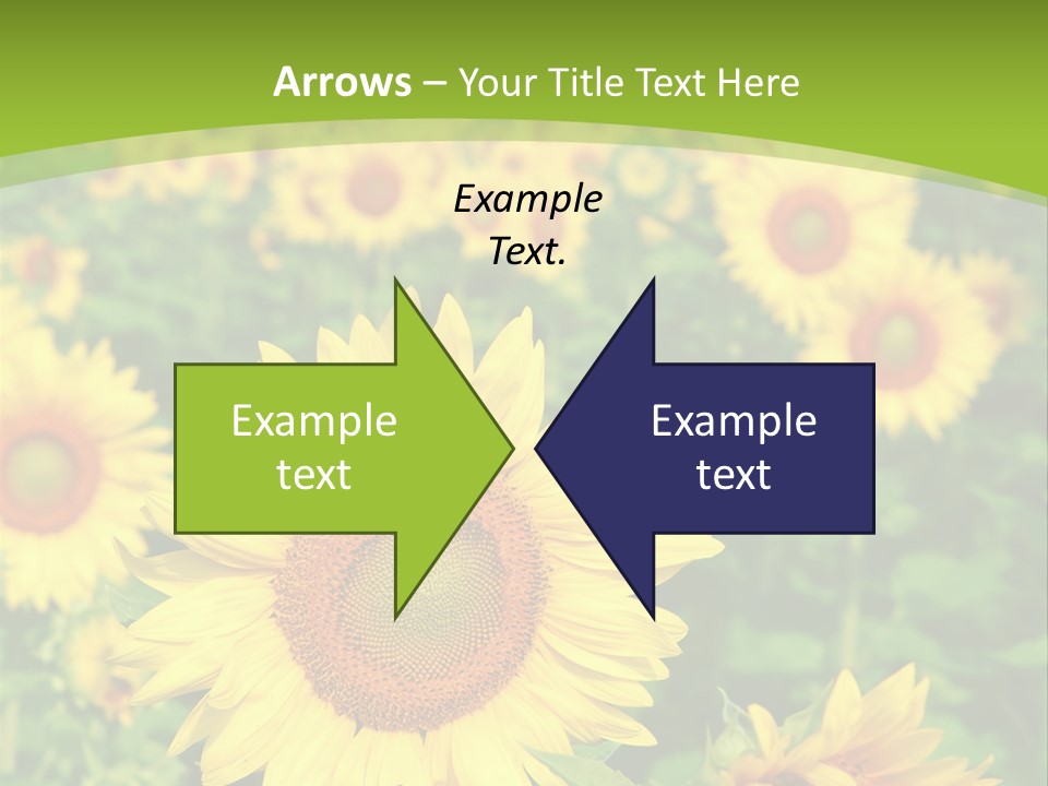 Growing Farming Sky PowerPoint Template