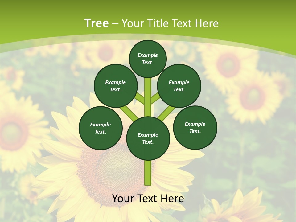 Growing Farming Sky PowerPoint Template