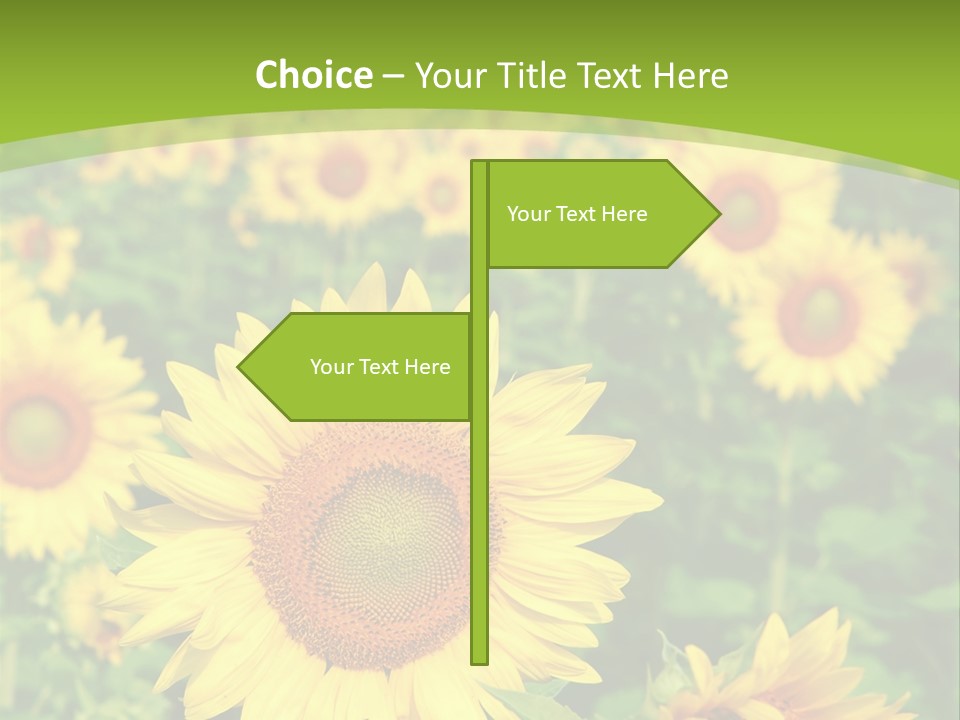 Growing Farming Sky PowerPoint Template