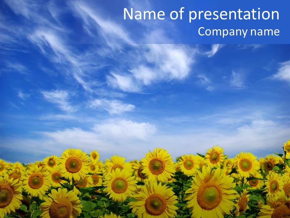 Sunny Field Growth PowerPoint Template