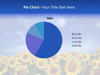 Sunny Field Growth PowerPoint Template