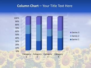 Sunny Field Growth PowerPoint Template