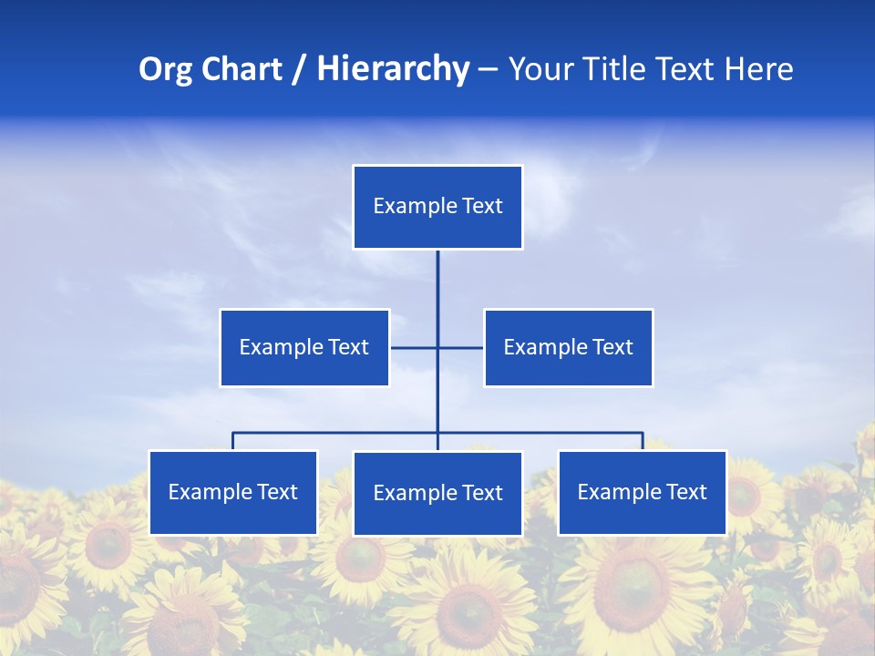 Sunny Field Growth PowerPoint Template