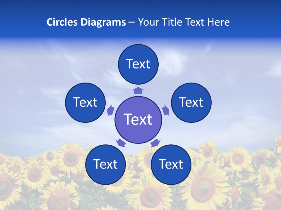 Sunny Field Growth PowerPoint Template