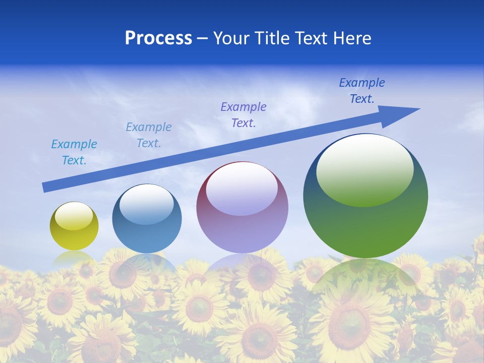 Sunny Field Growth PowerPoint Template