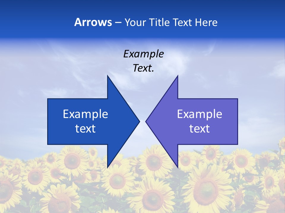 Sunny Field Growth PowerPoint Template