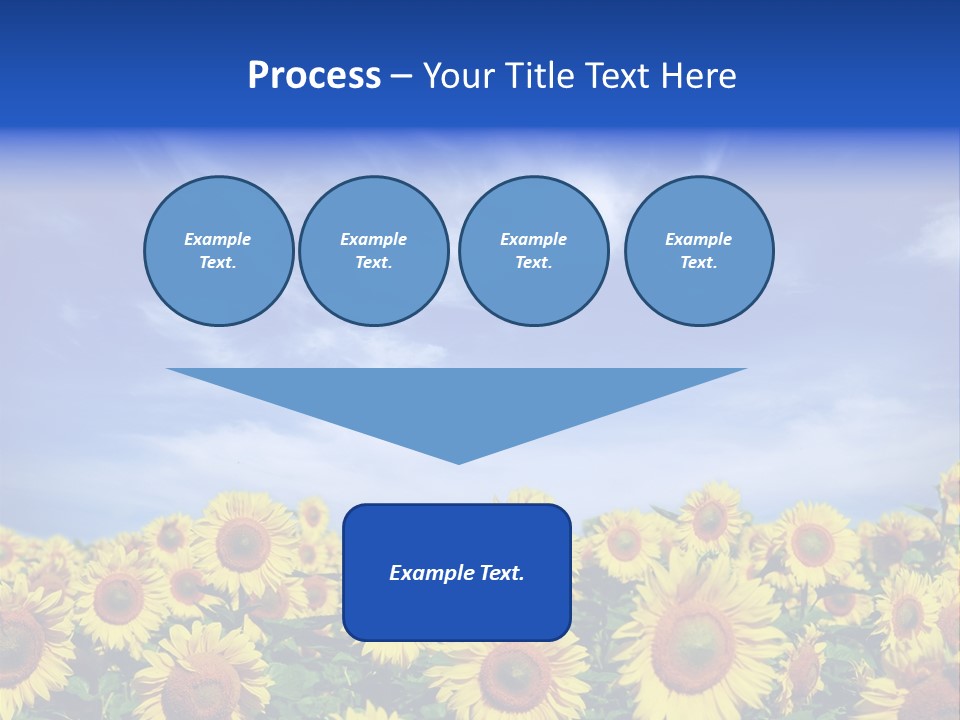 Sunny Field Growth PowerPoint Template